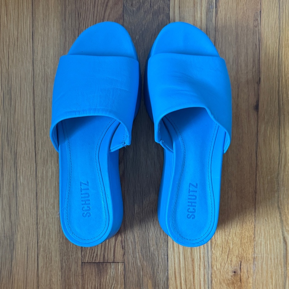 Schutz Women's Blue Heels
